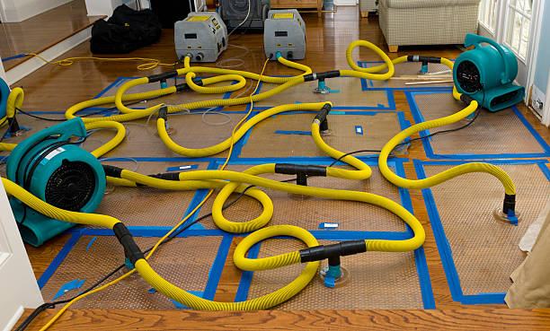 Professional Emergency Water Removal technician working in Shady Side, MD